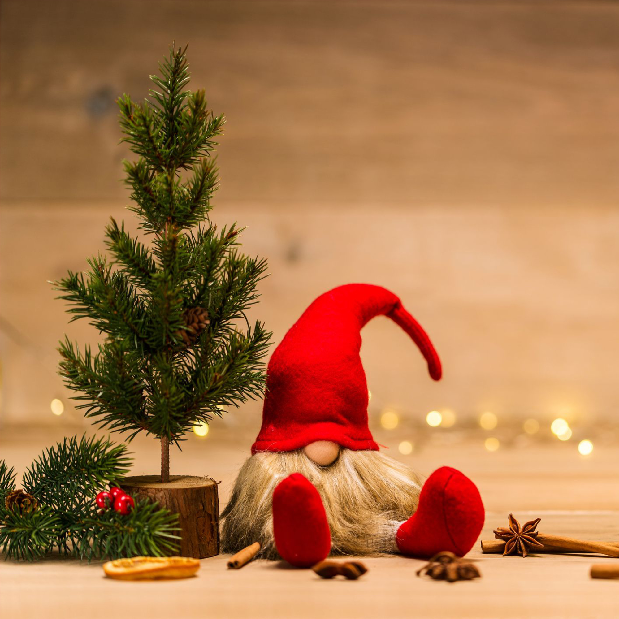 Buon Natale Dance Studio Firenze 2022